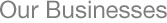 Our Businesses